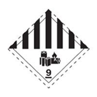 Alternativa B